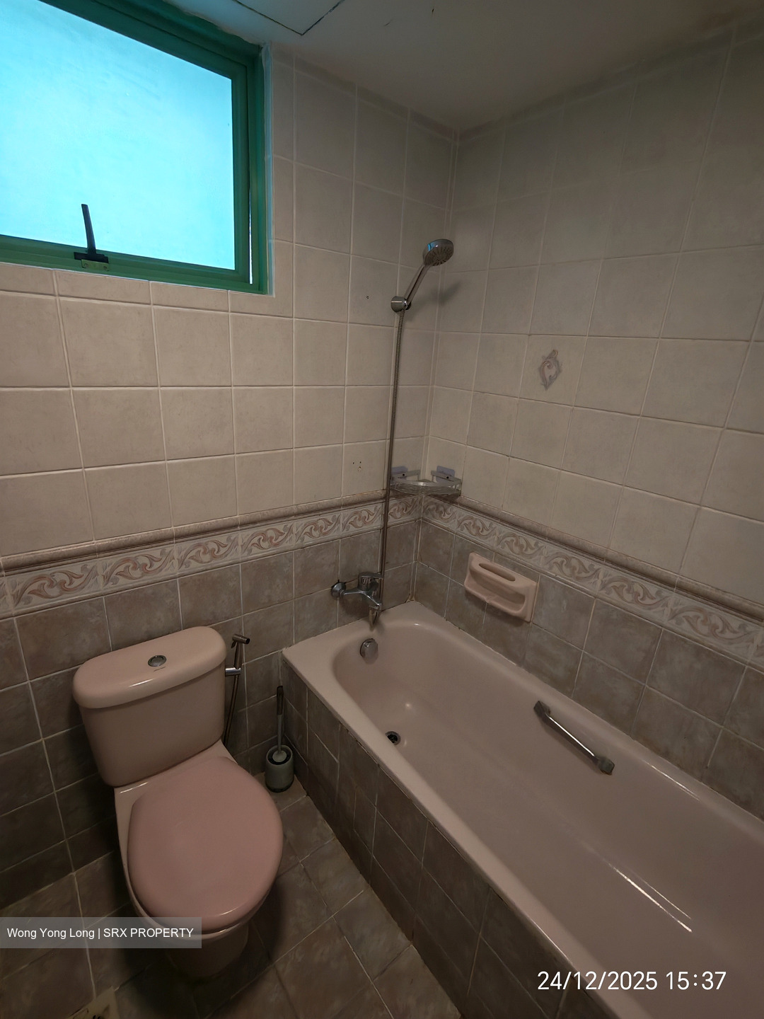 The Sunny Spring (D14), Apartment #513165641